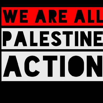 Disisdeguey🔻Pavlichenko🇵🇸