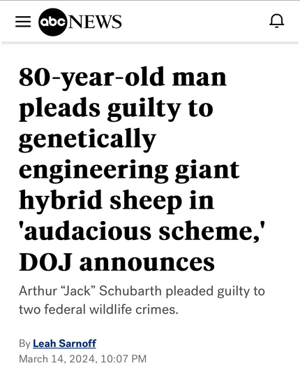 Headline from ABCNews: 80-year-old man pleads guilty to genetically engineering giant hybrid sheep in 'audacious scheme,' DOJ announces Arthur “Jack” Schubarth pleaded guilty to two federal wildlife crimes.