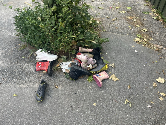 Blandet bunke sko og gummistøvler på asfalteret vej, foran en plet grønne, vilde planter