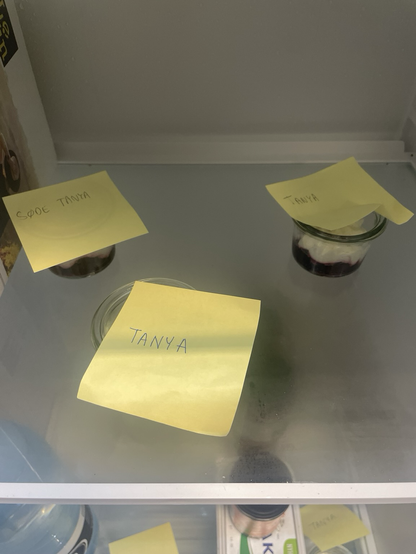 Køleskabshylde nr. 2 med endnu tre små skåle pavlova med gule post-its med teksten Tanya, Tanya og Søde Tanya