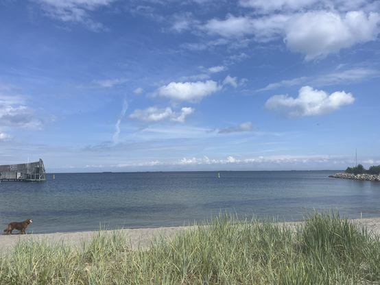 Kig ud over et stålblåt hav, lidt af Sneglen, strand og div i forgrunden. Solen skinner og her er mildt og fint 
