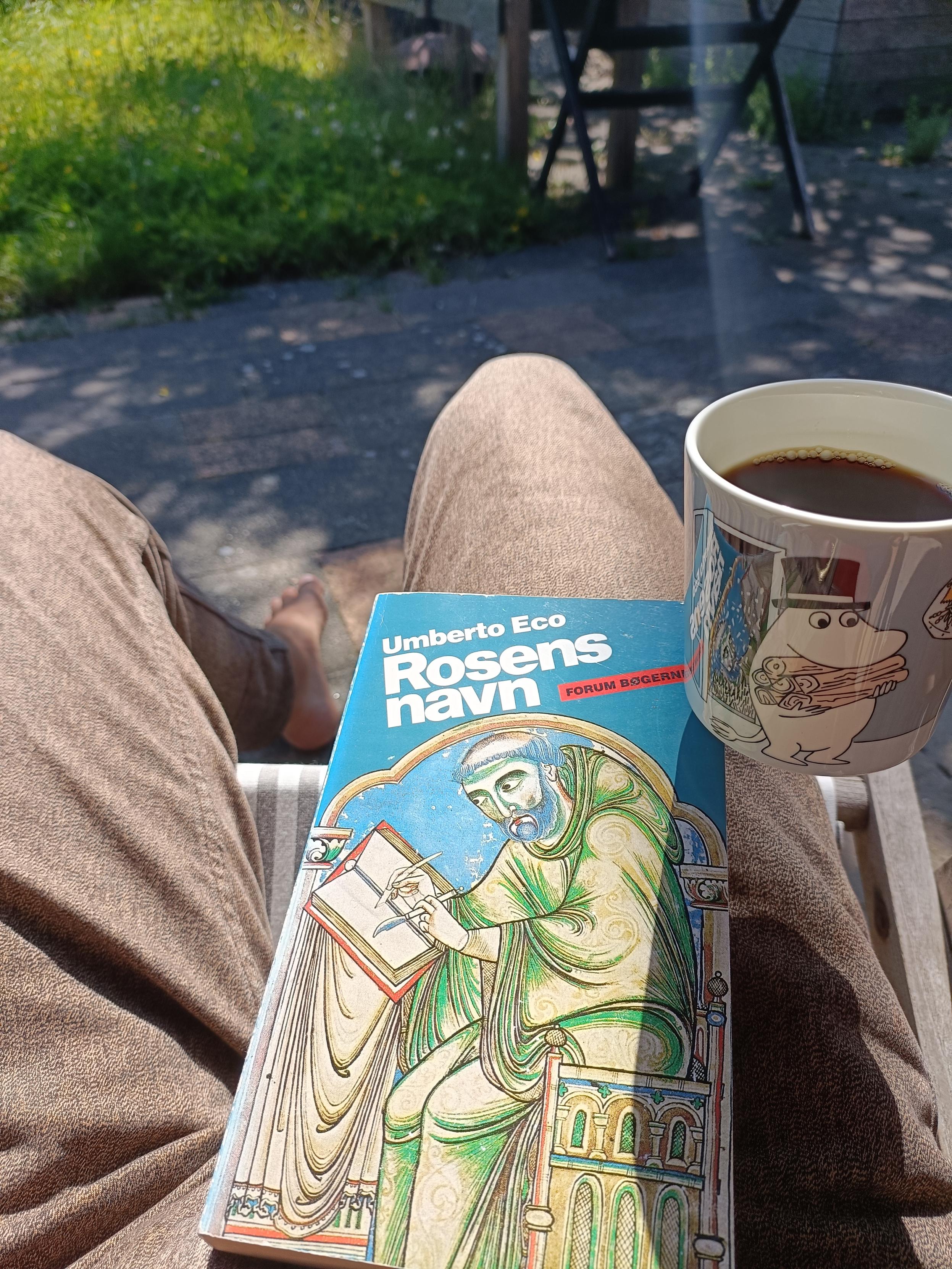 En bog og en kop kaffe i solskin.