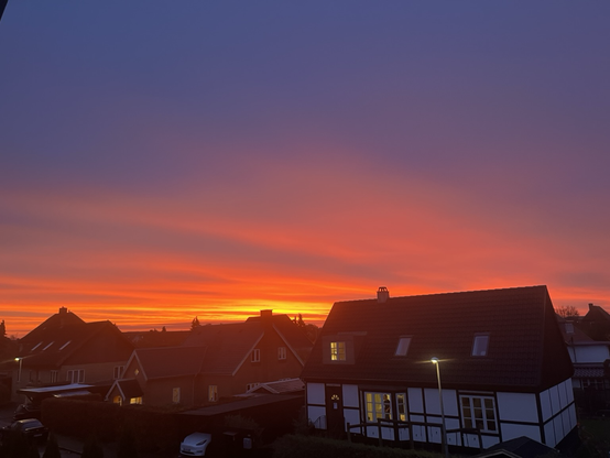 Udsigt over huse i et villakvarter. Det meste af billedet viser en morgenhimmel der spænder fra dyb violet over magenta til orange og gul. Lyserøde striber spreder sig hen over himlen. 