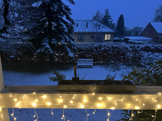 Udsigt fra hævet terrasse med lyskæde på ud over en let snedækket have med stort grantræ, bøgehæk og en hvid bænk.