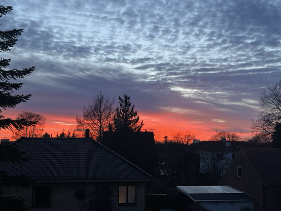 Udsigt over villatage og træer i forskellig højde. Himlen i baggrunden er spektakulær i ildrød og pink med dramatiske skyer i stålgrå ovenover