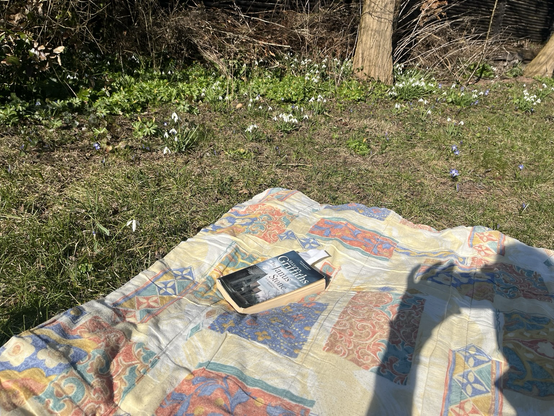 Vattæppe spredt ud på græsplæne med masser af vintergækker og lidt skilla på vej. Der ligger en krimi på tæppet og man kan se skyggen af den person der tager billedet