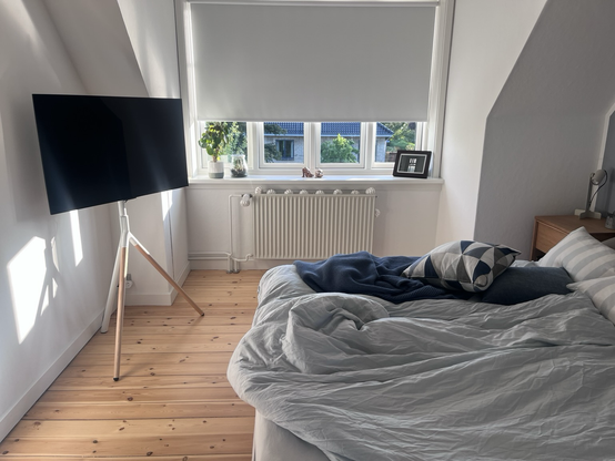 Soveværelse med karnap hvorfra der falder fint lys ind på væggen. Et fladskærms-TV står på en staffelifod til venstre og sengen med lyseblåt dynebetræk står midtfor og til højre. Der er et par grønne planter og lidt nips i vindueskarmen. 