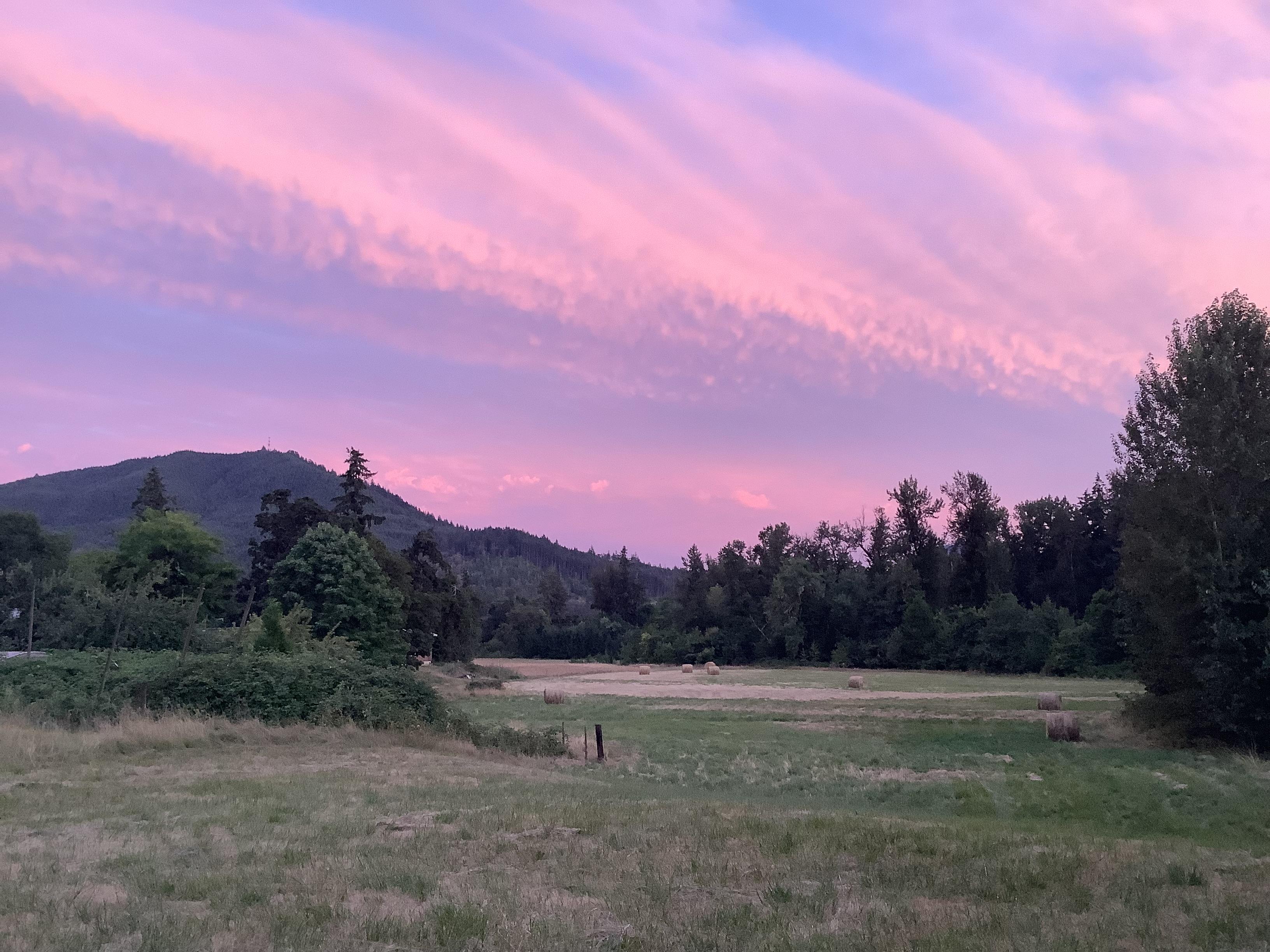 Very pink clouds above a pasture and hill.