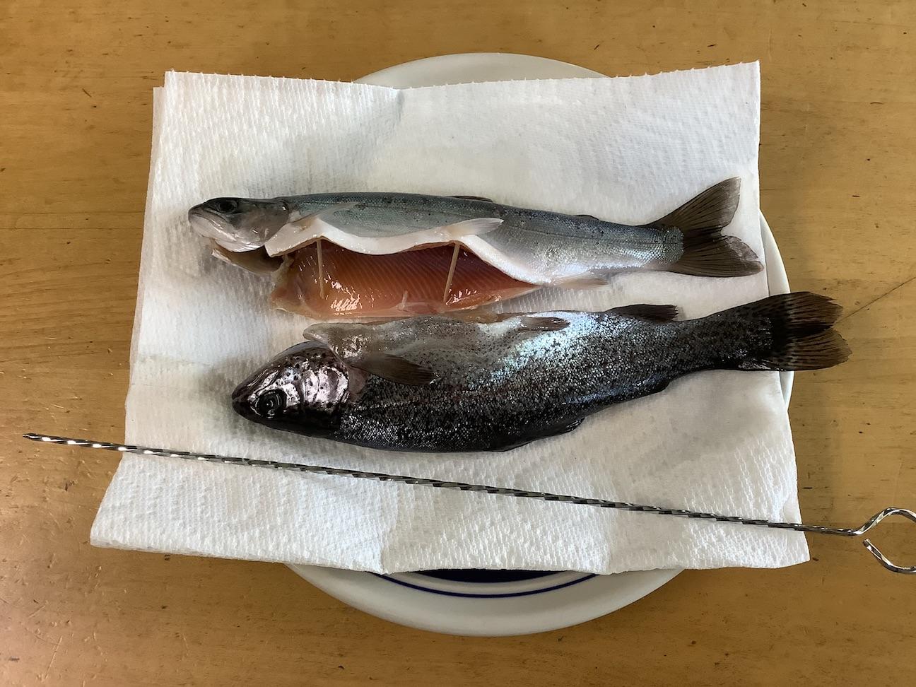 Two cleaned trout with toothpicks inserted to hold open the cavity.