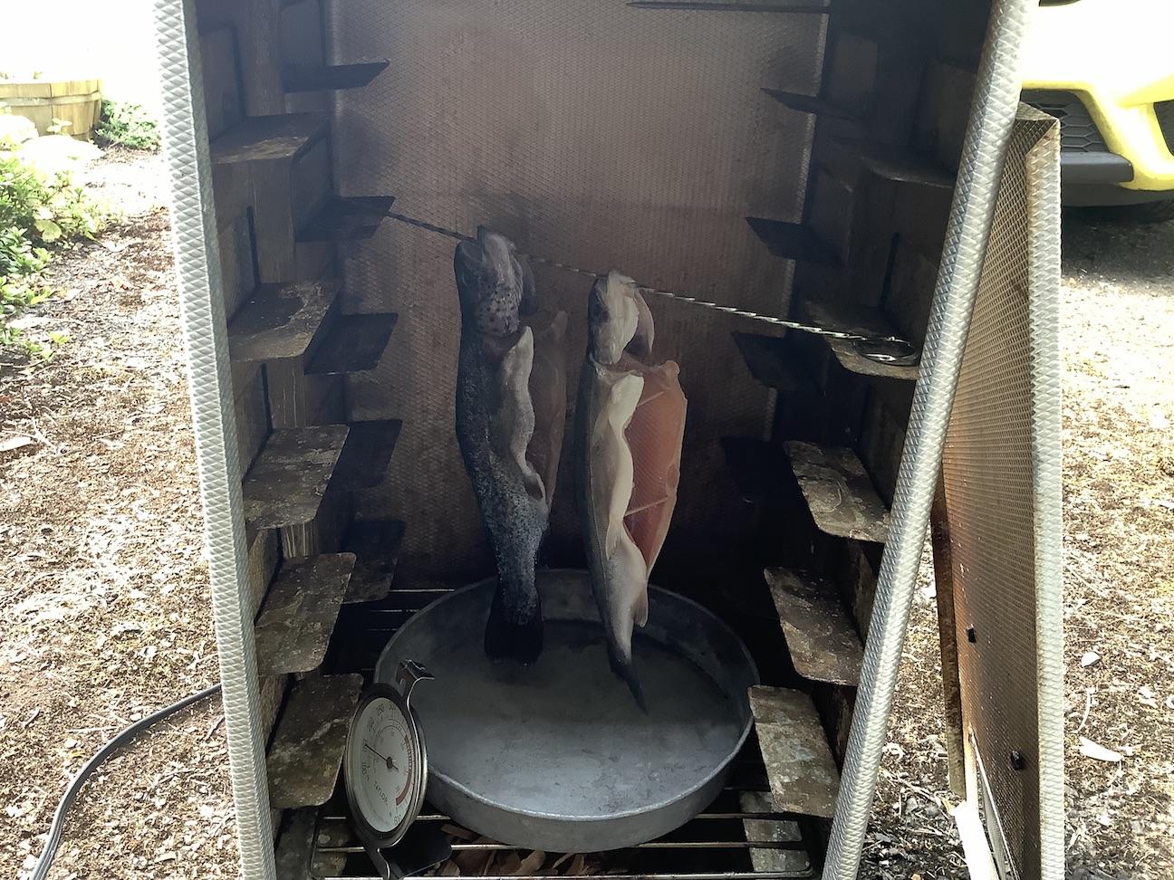 Two trout hung up within a small smoker.