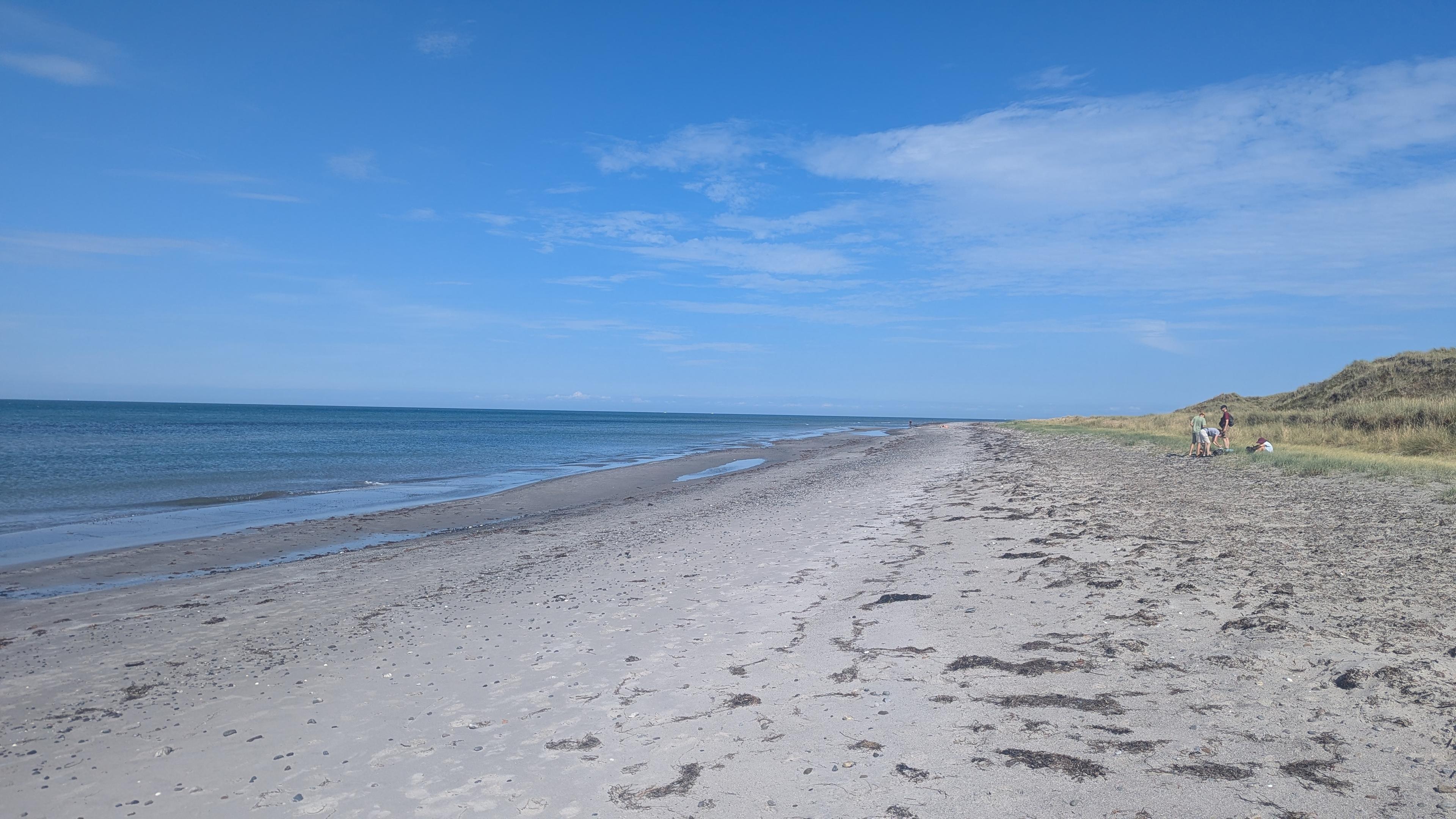 Strand med dejligt sand og klitter og ikke så meget tang. Der var altså andre mennesker på stranden i den anden retning